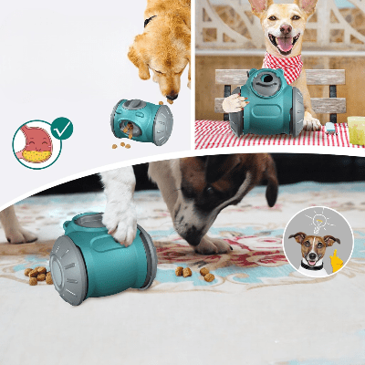 Distributeur de Croquettes pour Chien - BrainChase™ - Turquoise - Paradis pour chien