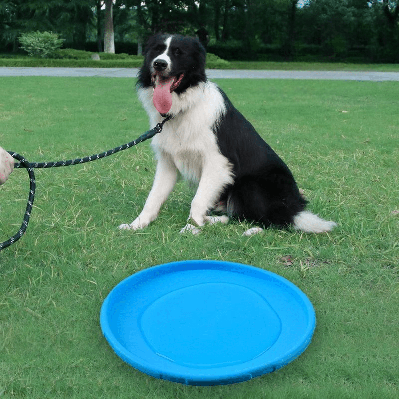 Frisbee Chien - FlyingDiscToys™ - Bleu - Paradis pour chien