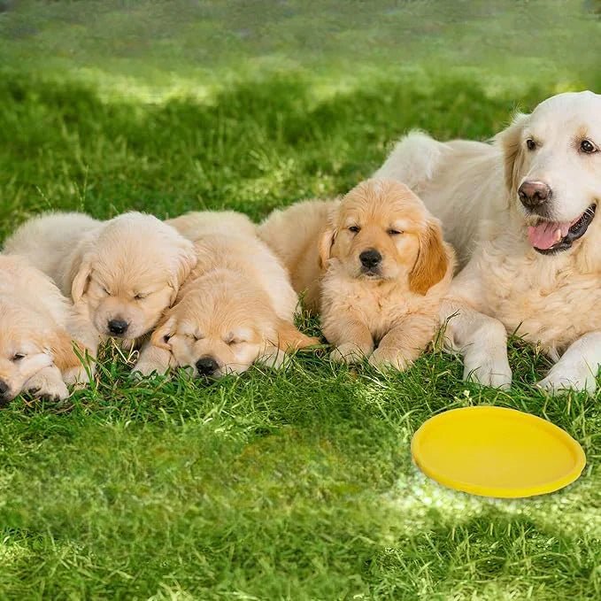 Frisbee Chien - FlyingDiscToys™ - Jaune - Paradis pour chien