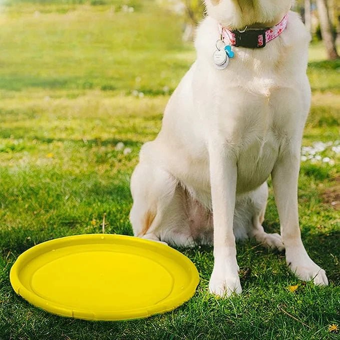 Frisbee Chien - FlyingDiscToys™ - Jaune - Paradis pour chien