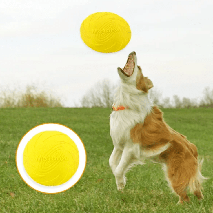 Frisbee Chien - FlyingDiscToys™ - Jaune - Paradis pour chien