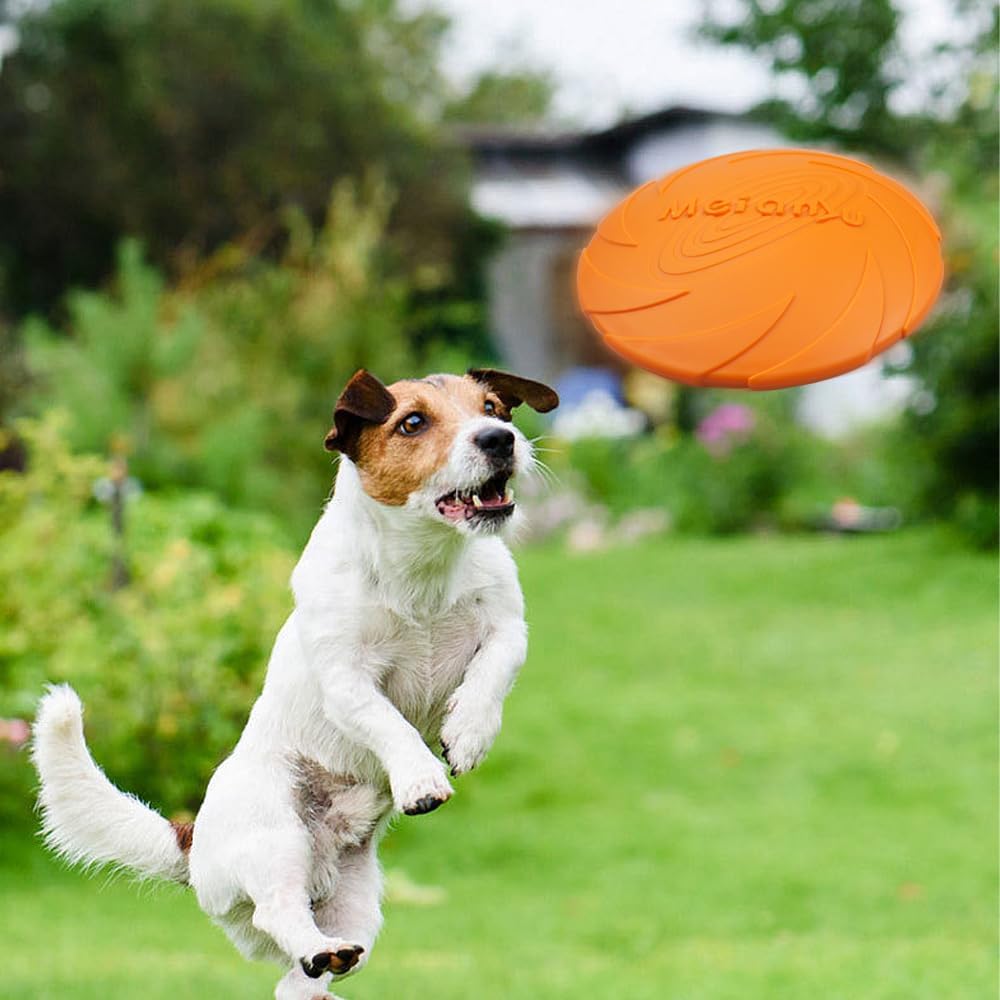 Frisbee Chien - FlyingDiscToys™ - Orange - Paradis pour chien