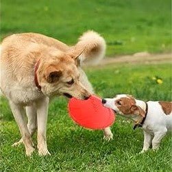 Frisbee Chien - FlyingDiscToys™ - Rouge - Paradis pour chien