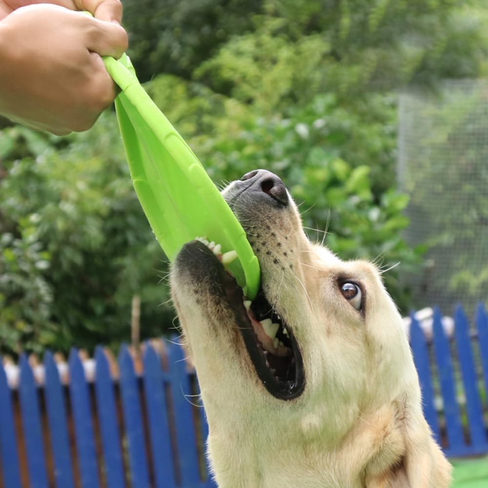 Frisbee Chien - FlyingDiscToys™ - Vert - Paradis pour chien