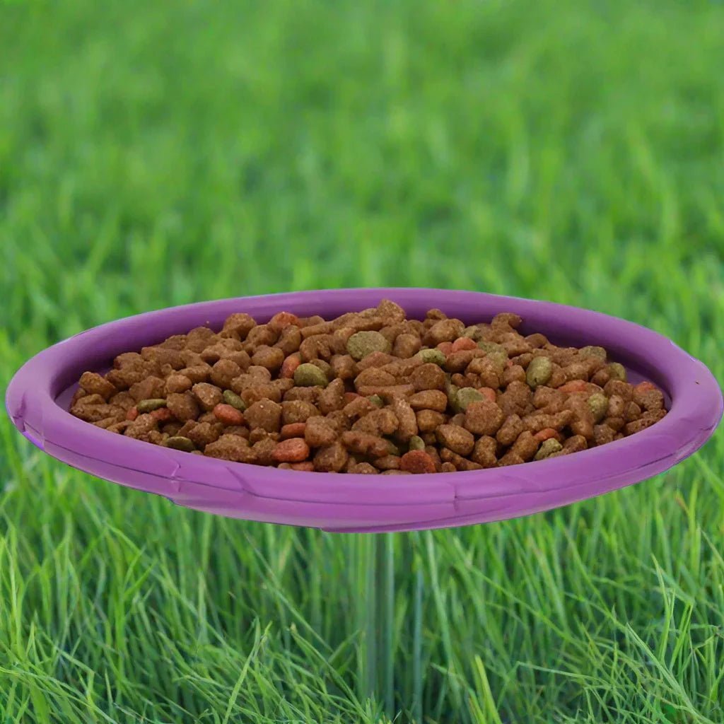 Frisbee Chien - FlyingDiscToys™ - Violet - Paradis pour chien