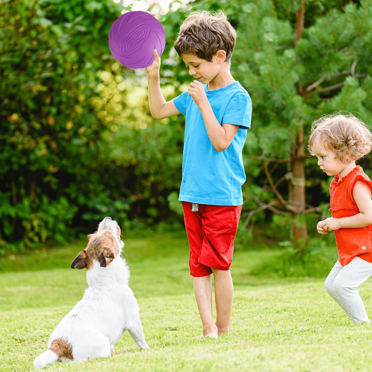 Frisbee Chien - FlyingDiscToys™ - Violet - Paradis pour chien