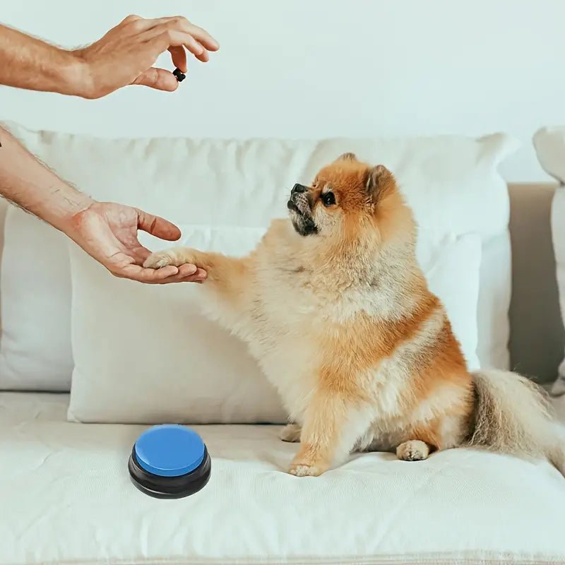 Jouet Interactif pour Chien - ChienParlant™ - Bleu Clair - Paradis pour chien