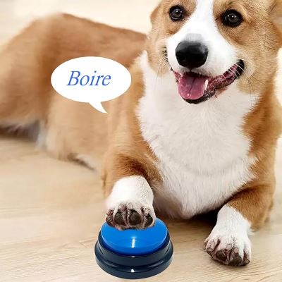 Jouet Interactif pour Chien - ChienParlant™ - Bleu Royal - Paradis pour chien