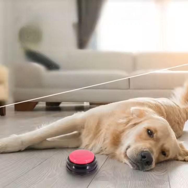 Jouet Interactif pour Chien - ChienParlant™ - Magenta - Paradis pour chien