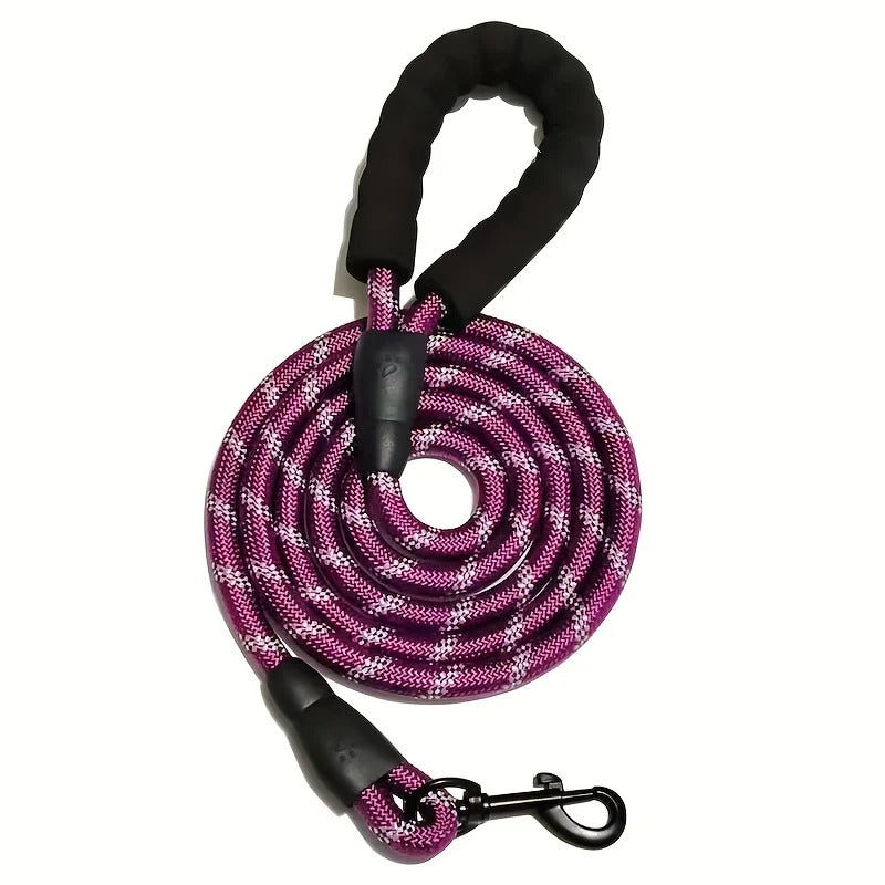 laisse pour chien couleur mauve