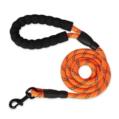 laisse pour chien couleur orange