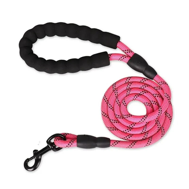laisse pour chien couleur rose
